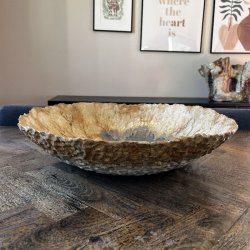 Stort unika fad i (Musling)