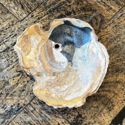 Stort unika fad i (Musling)