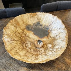 Stort unika fad i (Musling)