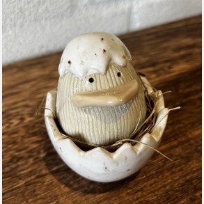 Lille kylling i skal