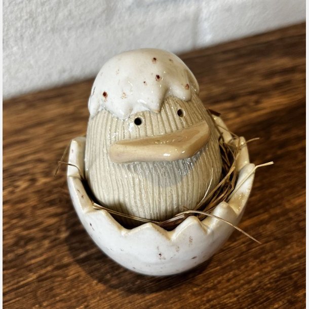 Lille kylling i skal