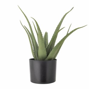 Aloe Plante, Gr�n, Kunstige Blomster