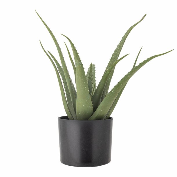Aloe Plante, Grn, Kunstige Blomster