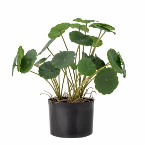 Copper Plante, Gr�n, Kunstige Blomster