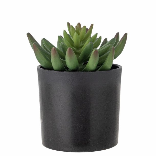 Echeveria Plante, Grn, Kunstige Blomster
