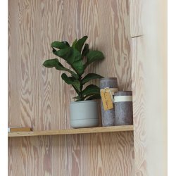 Timber bloklys, Taupe